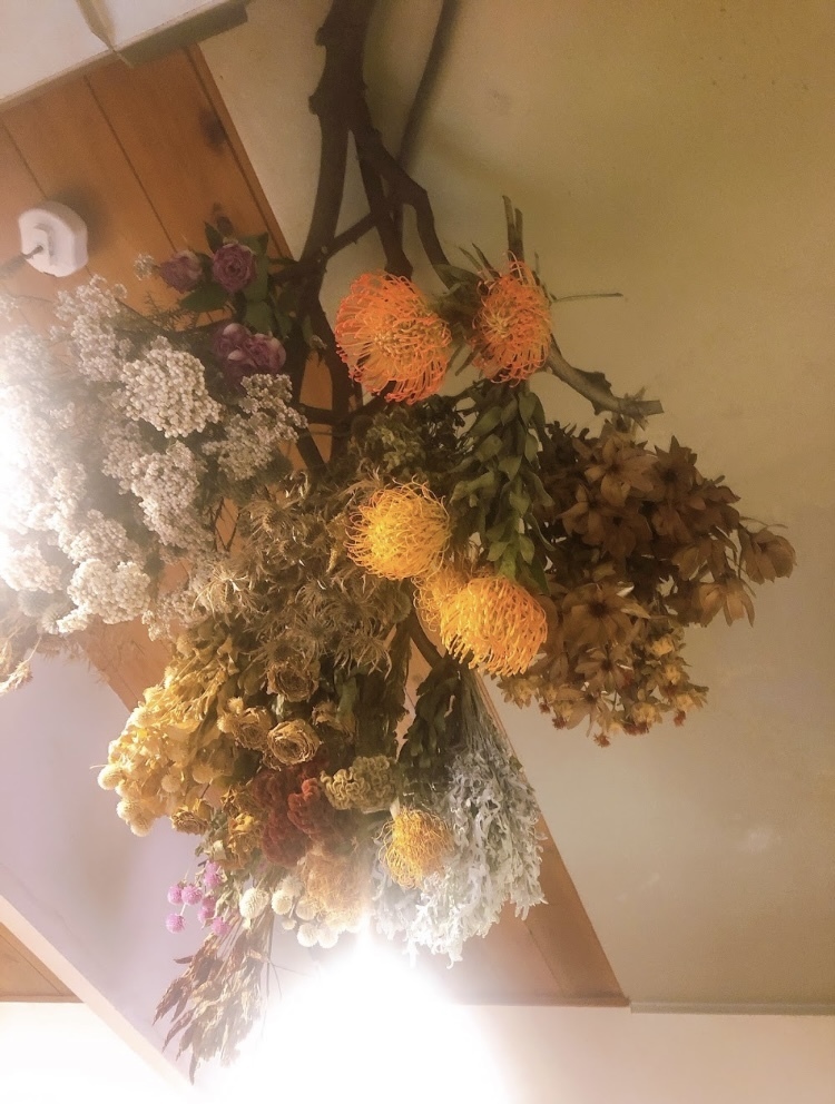 新江古田のカフェ Neco Qavreeno カフェブログ